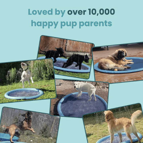 Pup Paradise™ Sprinkler Pad