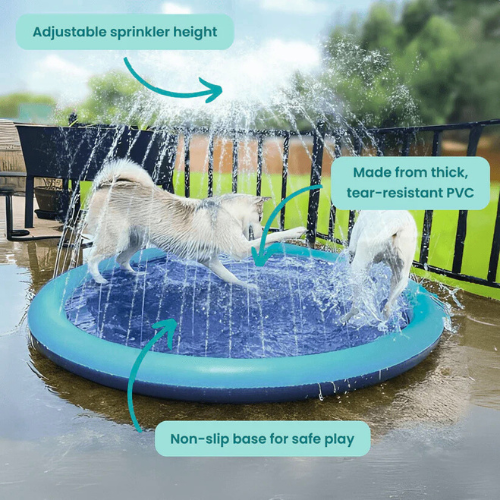 Pup Paradise™ Sprinkler Pad